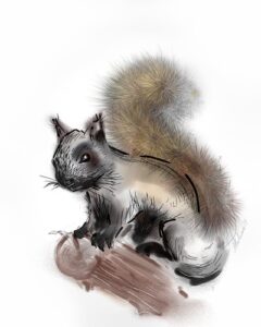 Squirrel digital drawing